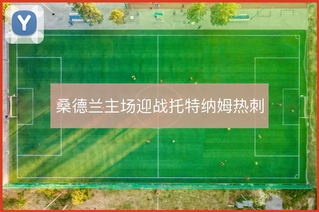 桑德兰主场迎战托特纳姆热刺