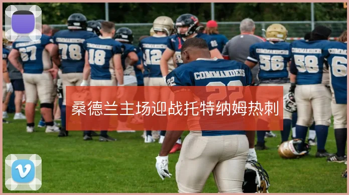桑德兰主场迎战托特纳姆热刺